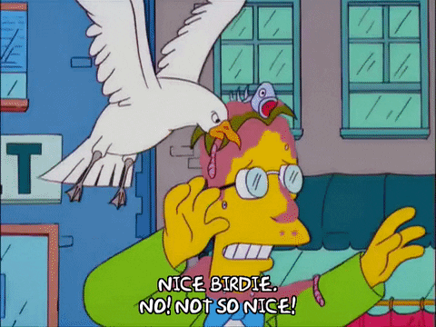 Time to Wake Up the Carrier Pigeons