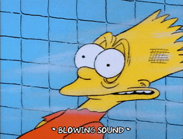 Season 1 Blow Dryer GIF by The Simpsons