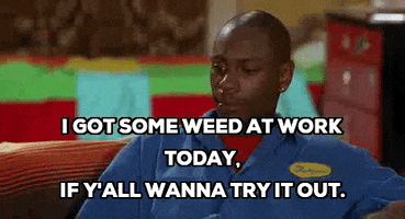 dave chappelle weed GIF