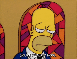 homer simpson GIF