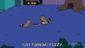 Episode 15 Racoons GIF by The Simpsons