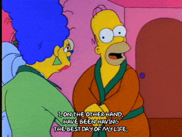 Season 4 Episode 3 GIF by The Simpsons