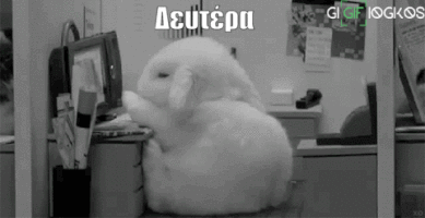 vaggelisharogiannis lista gigifiogkos sokolata GIF