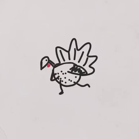jchamberlain holidays thanksgiving turkey GIF