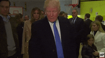 Voting Donald Trump GIF by Election 2016