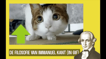 gerkotempelman kant immanuel kant filosofie ethiek GIF