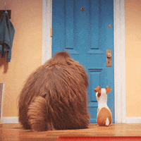 Happy Dog GIF by The Secret Life Of Pets