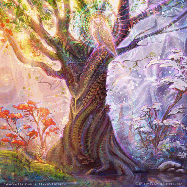 cheetah flowoflife GIF