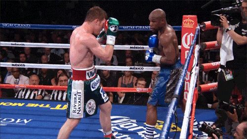 Floyd Mayweather GIF