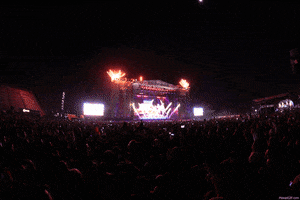 josemanuelmurga  GIF