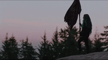 sunset flag GIF by RCA Records UK