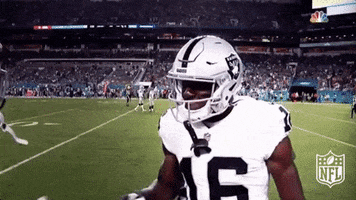 Wipe Oakland Raiders GIF by NFL