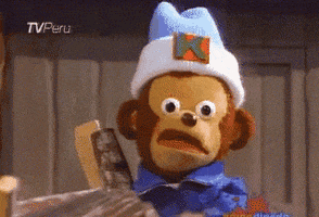 Meme gif. One of several examples of the "Awkward Look Monkey" meme: A slow zoom in on a confused-looking monkey puppet with a knit cap.