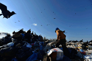 Catadores Lixã£O GIF