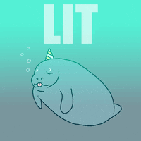 Party Manatee GIF by GIPHY Studios Originals