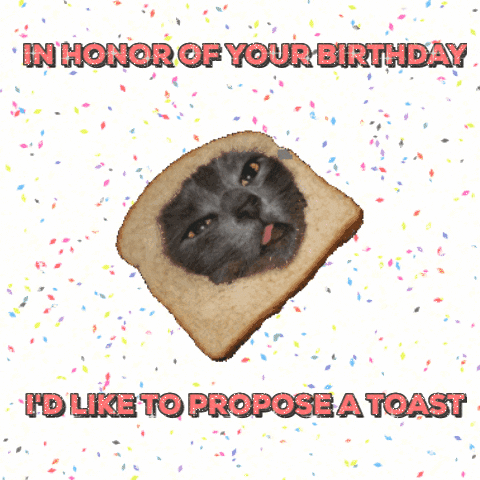 happy birthday toast GIF by chuber channel