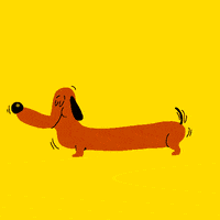 poop dachshund GIF by GIPHY Studios Originals