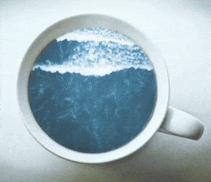 sea GIF