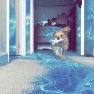 slow motion GIF by Justin