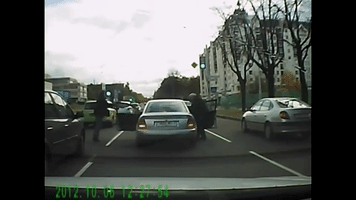 Ã¡Llatok Hã¡Borãº Az Utakon GIF