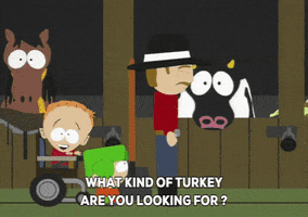 kyle broflovski turkey GIF by South Park 