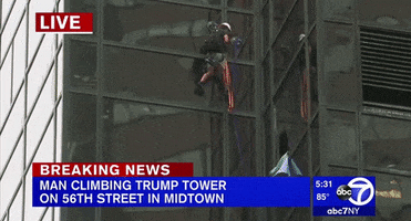 trump tower suction cups GIF by Leroy Patterson
