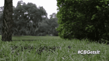 Real Estate High Heel GIF by Coldwell Banker CareersCB.com