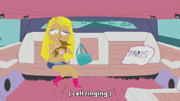 paris hilton bikini GIF by South Park