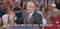 Rudy Giuliani No GIF
