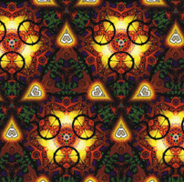 delusion  GIF