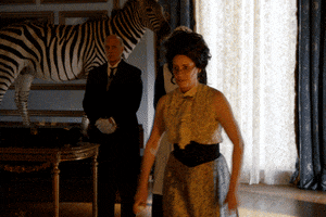 comedy central flip GIF by Another Period