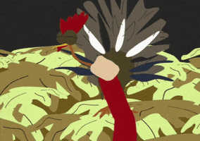 turkey holding GIF by South Park 