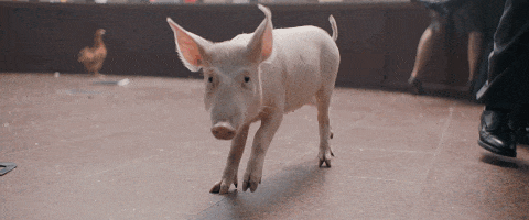 run the jewels pig GIF by DJ Shadow