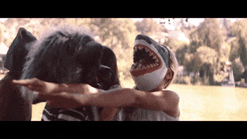 kings of summer fun GIF by Columbia Records