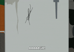 anger spider GIF by South Park 