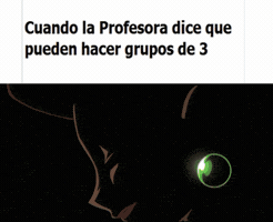 lezer  GIF