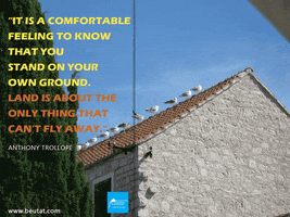 alishbahathar real estate quotes GIF