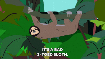 sloth GIF by South Park 
