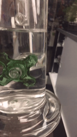 honeynubbles  GIF