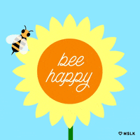 Happy Bee Gifs Get The Best Gif On Giphy