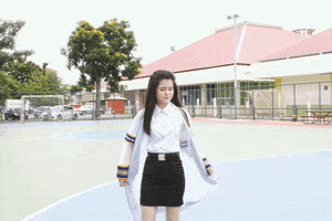 beech  GIF