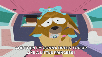 dress up paris hilton GIF by South Park 