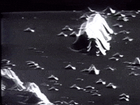 Krnl Fluxus GIF - KRNL FLUXUS - Discover & Share GIFs