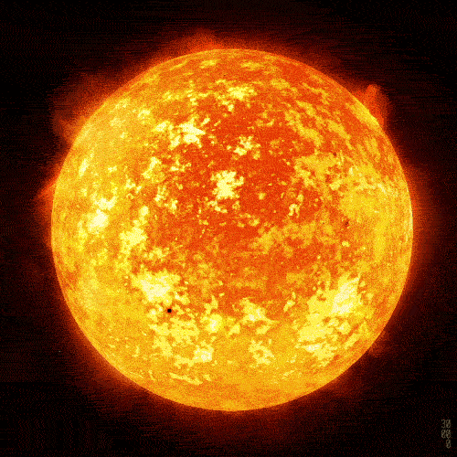 marggieriaza  GIF