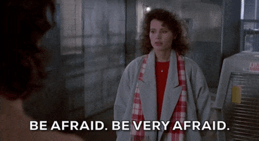 be afraid the fly GIF