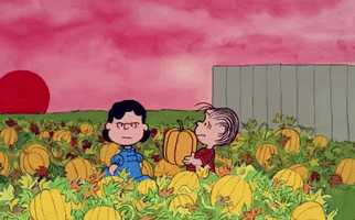 its the great pumpkin charlie brown lucy GIF