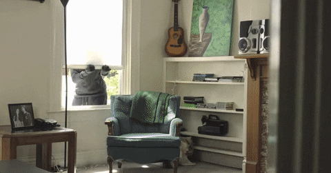 Burglar GIF by State Champs - Find & Share on GIPHY