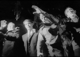Night Of The Living Dead Horror GIF by filmeditor