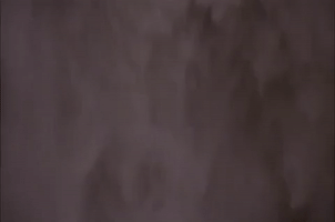 200.gif?cid=fc005b0840badd8b83995b3ebc12fa05c68a6752f7424c58&rid=200.gif&ct=g