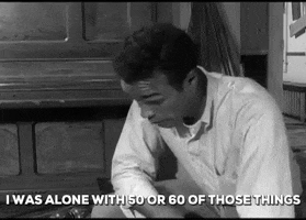 i was alone with 50 or 60 of those things GIF